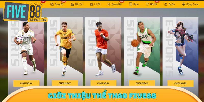 Giới thiệu tổng quan sảnh thể thao tại Five88